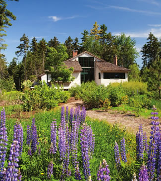 Bar Harbor Caretaking